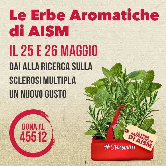 27 MAGGIO 2019 - LE ERBE AROMATICHE DI AISM AL BESTA