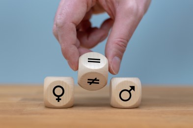 gender equality plan gep 