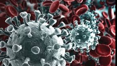 ALLERTA CORONAVIRUS