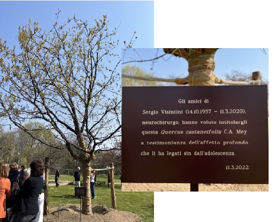 NELL’ORTO BOTANICO DI VIA GOLGI UN ALBERO IN RICORDO DEL DOTTOR VISINTINI